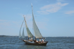 Doug-Colins-2